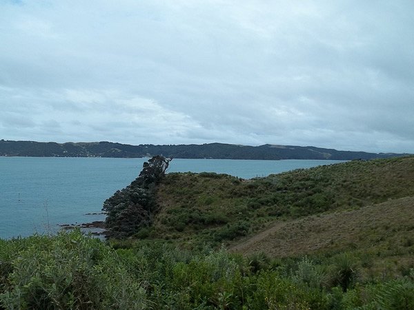 Rotoroa Island